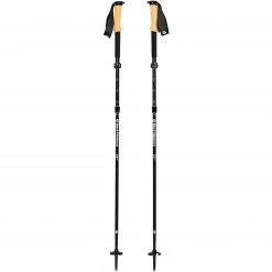 Black Diamond Trekkingstöcke Alpine FLZ, Fitnessgerät (schwarz, 1 Paar, 105-125 Cm)