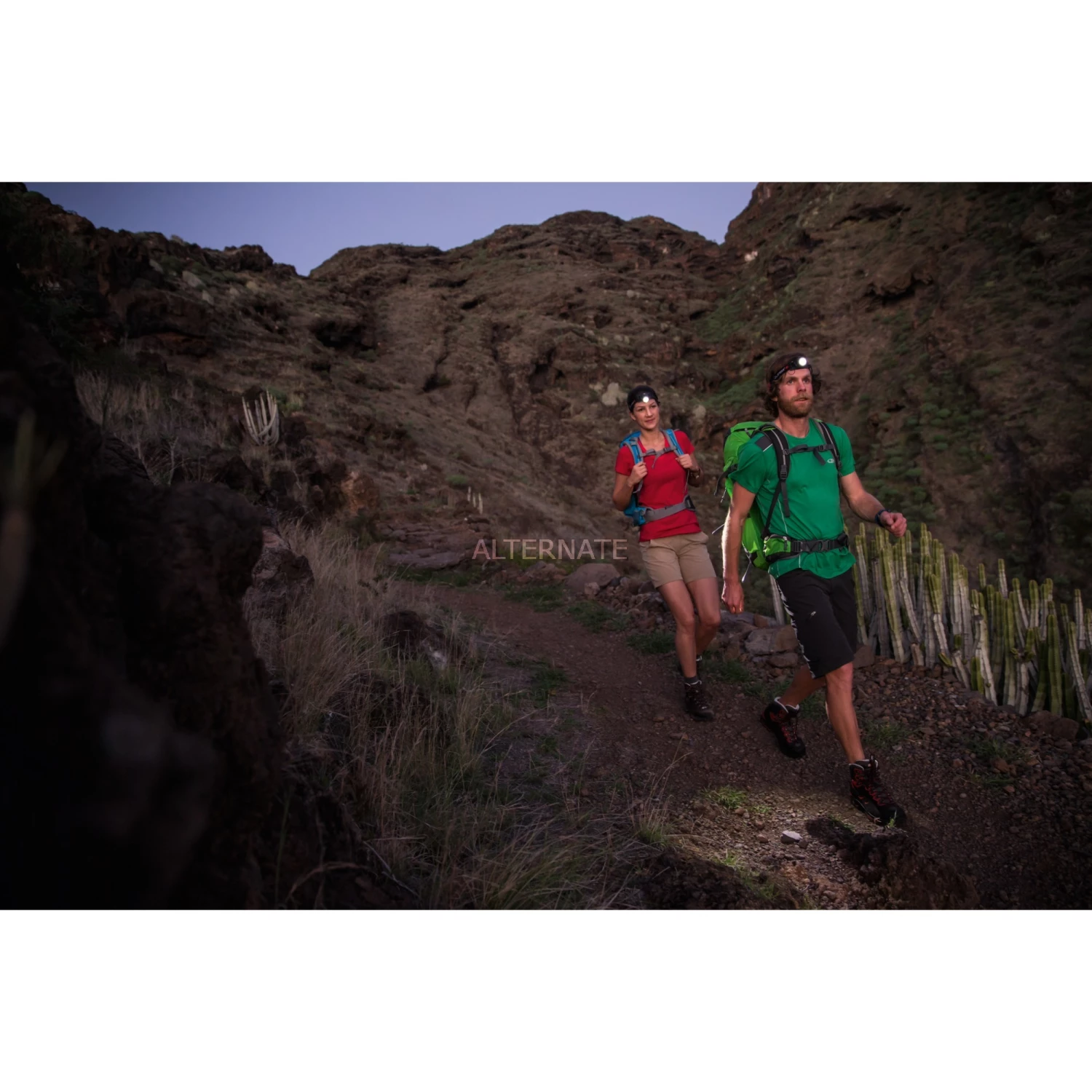 LED-Lampen Ledlenser Stirnlampe H7.2, LED-Lampe 8 LED-Lampen Ledlenser Stirnlampe H7.2, LED-Lampe – Bild 6