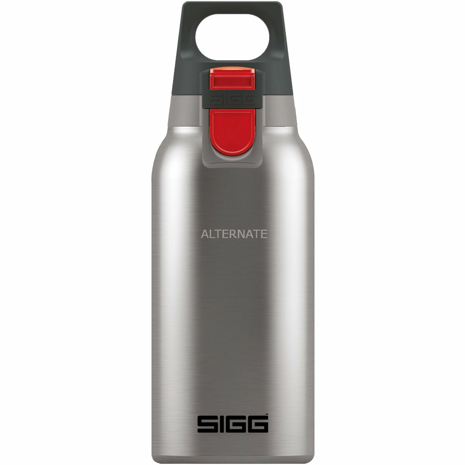 Trinkflaschen SIGG Hot & Cold One Brushed 0,3 Liter, Thermosflasche (edelstahl) 3 Trinkflaschen SIGG Hot & Cold One Brushed 0,3 Liter, Thermosflasche (edelstahl)